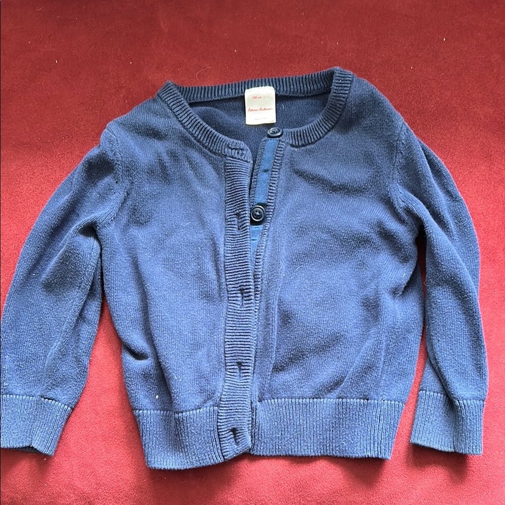Hanna Andersson Blue Kids Sweater